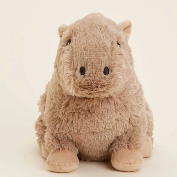 The Chill Capybara Plush 🦫✨